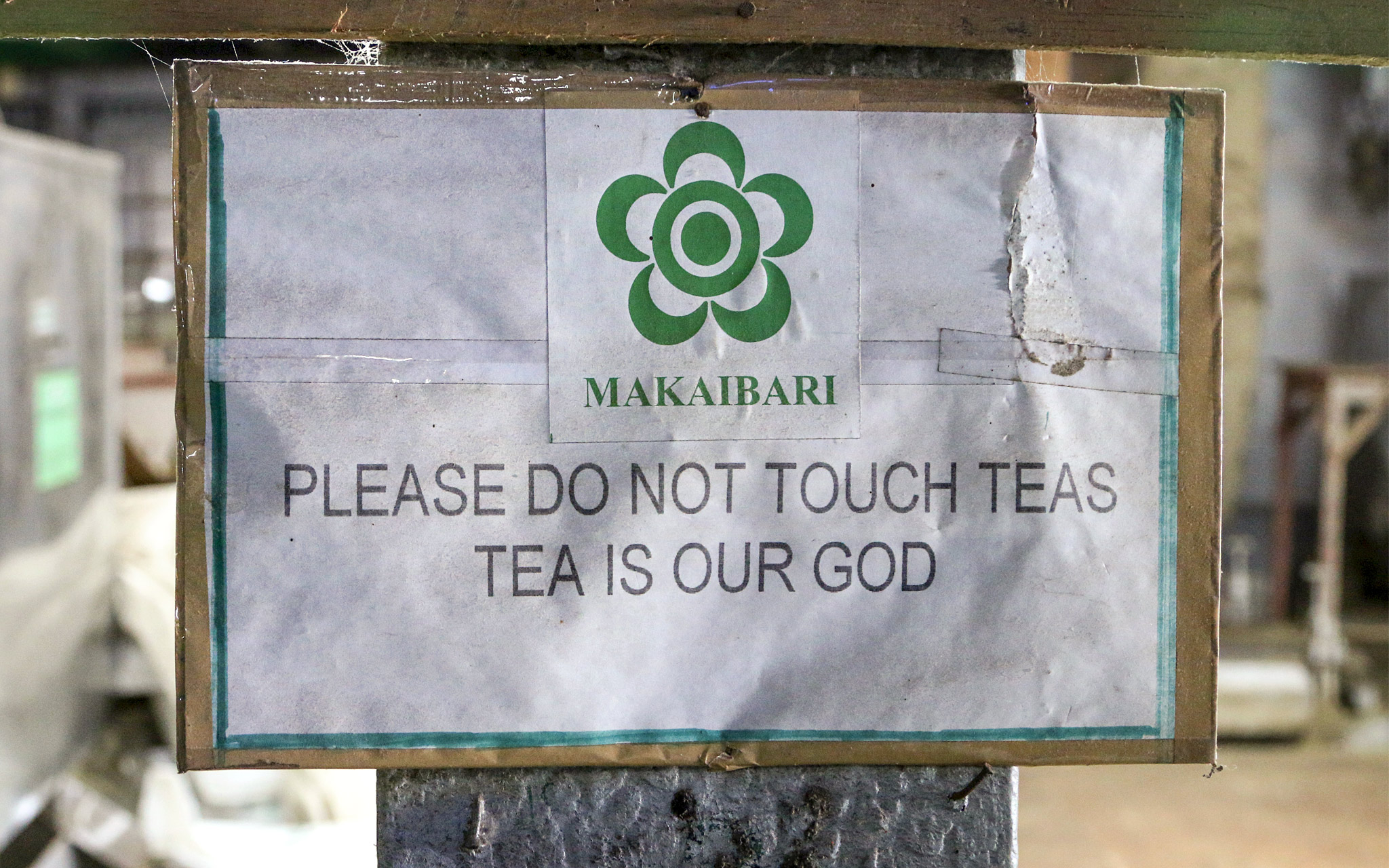 Kyltissä Makaibarin logo ja teksti: "Please do not touch teas. Tea is our god"