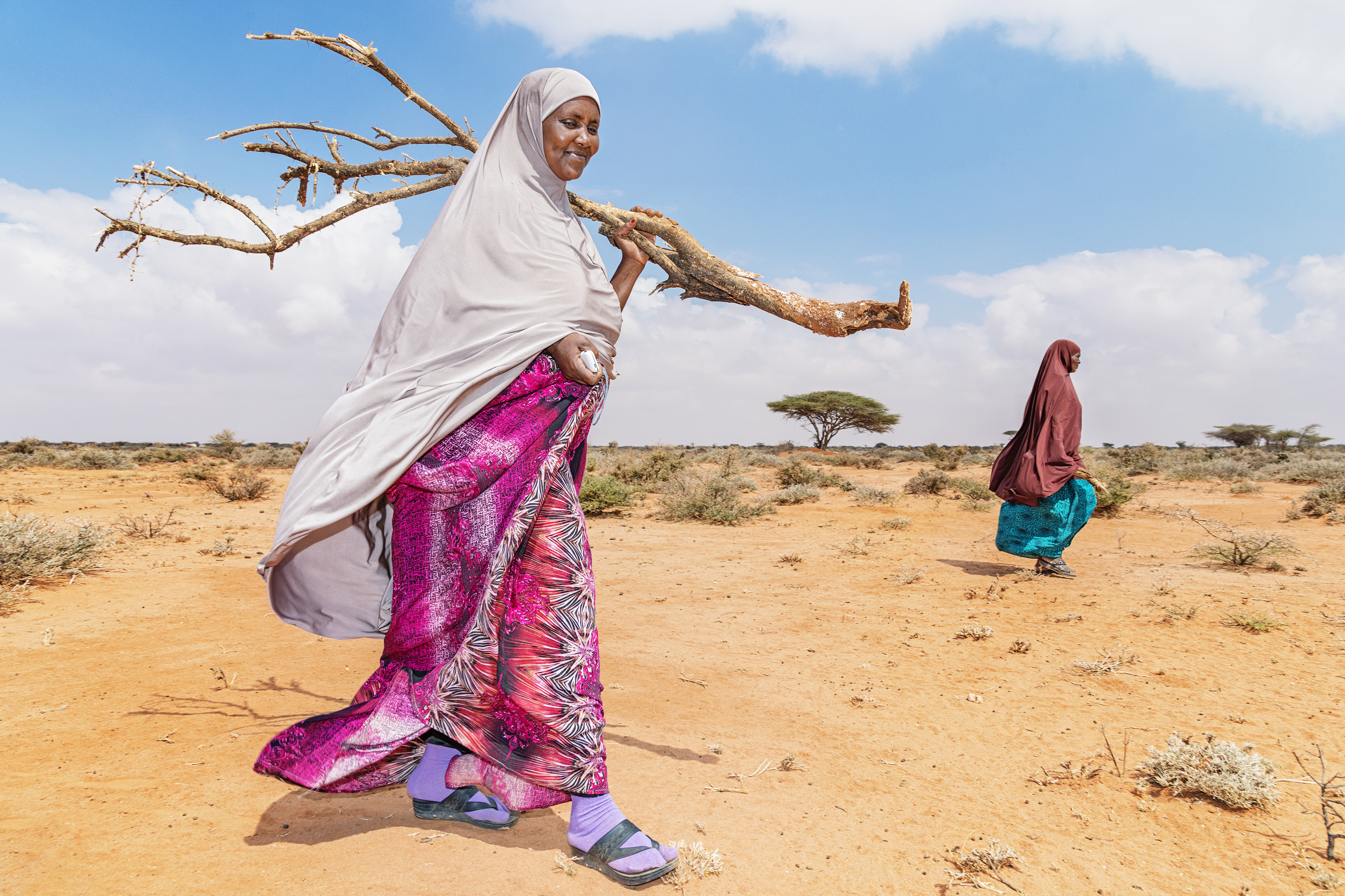 Polttopuiden etsintää kuivuudesta kärsivässä Somalimaassa