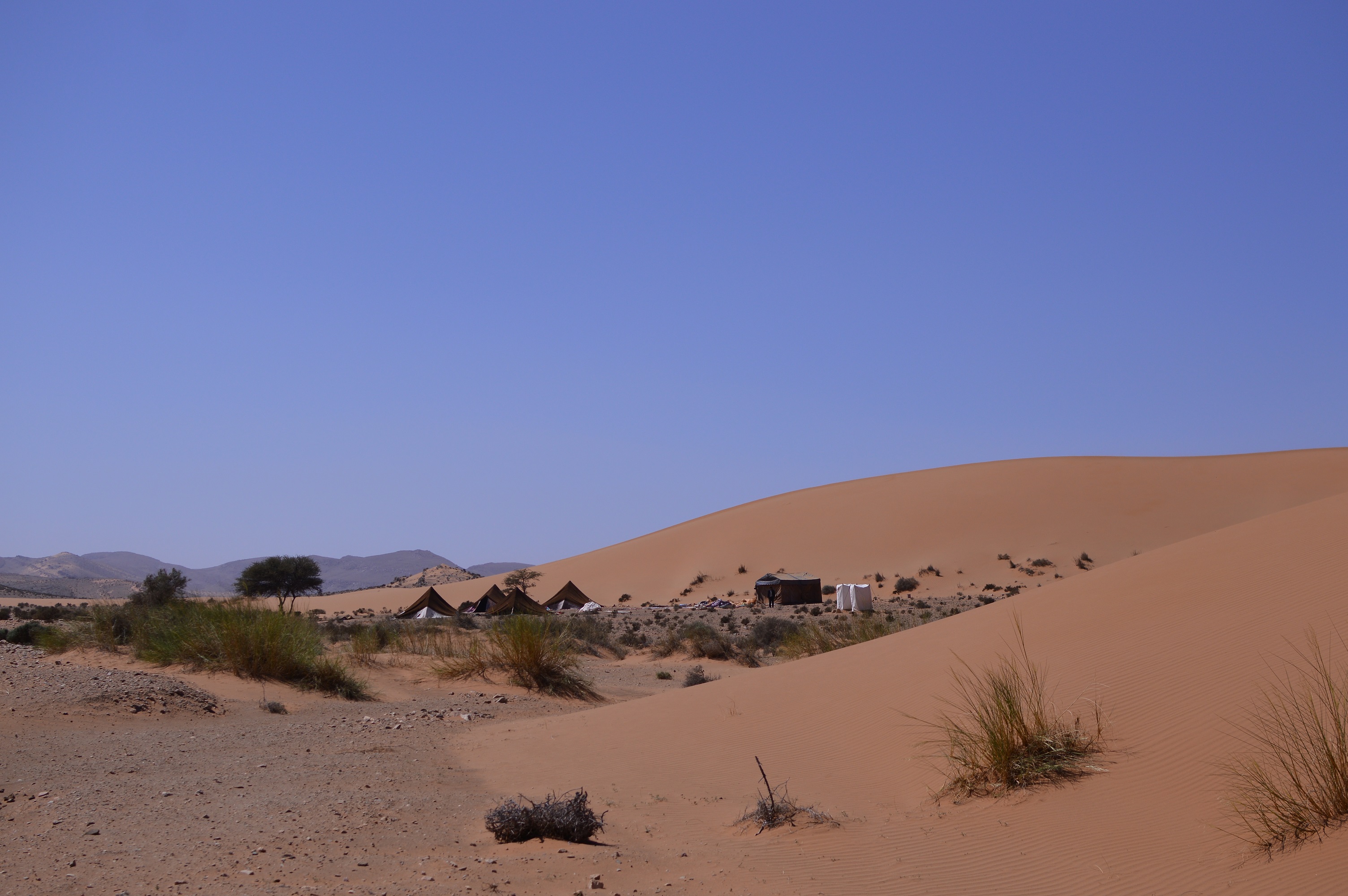 Marokon aavikko