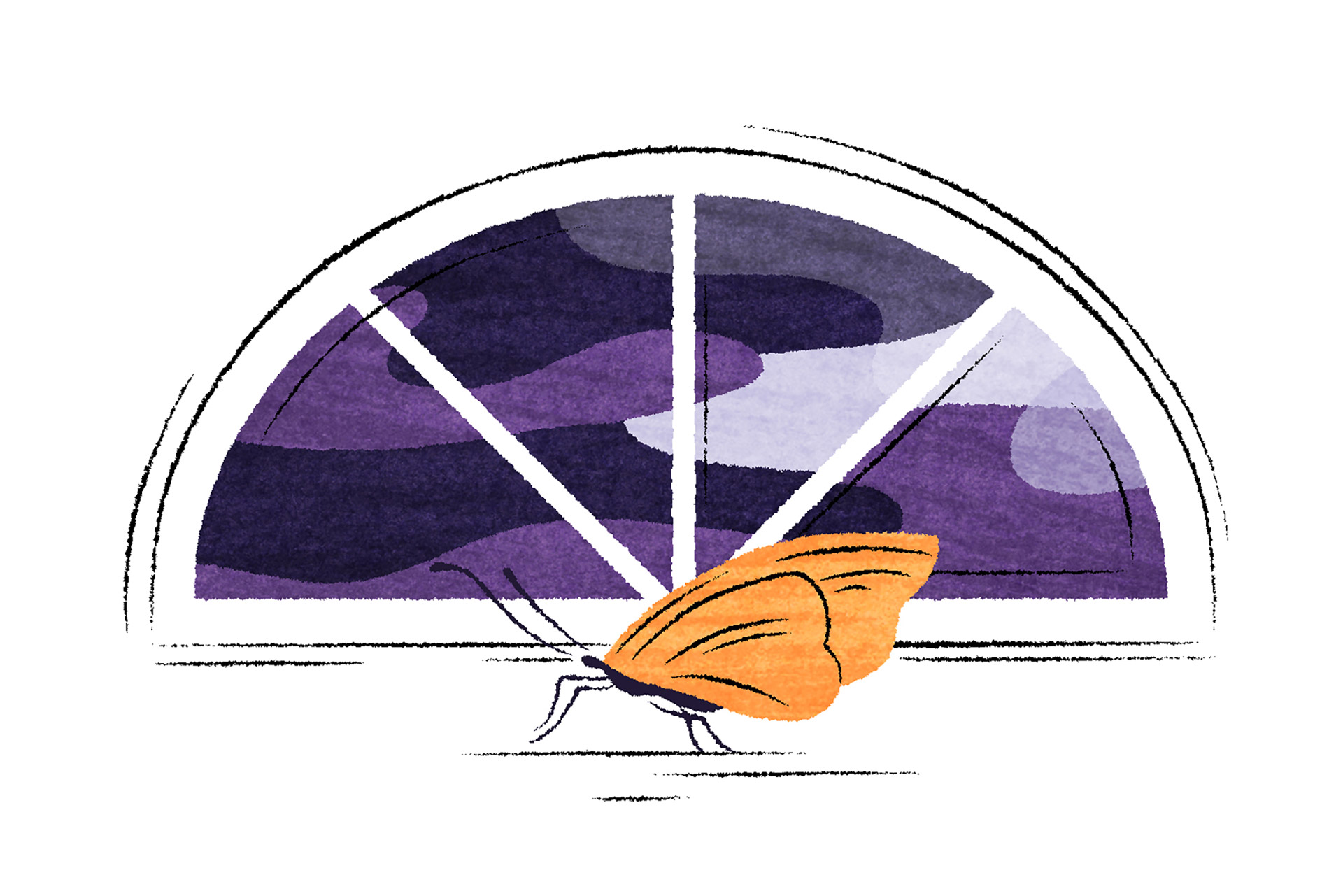 Oranssi perhonen lilan ikkunan edessä. Kuvituskuva.