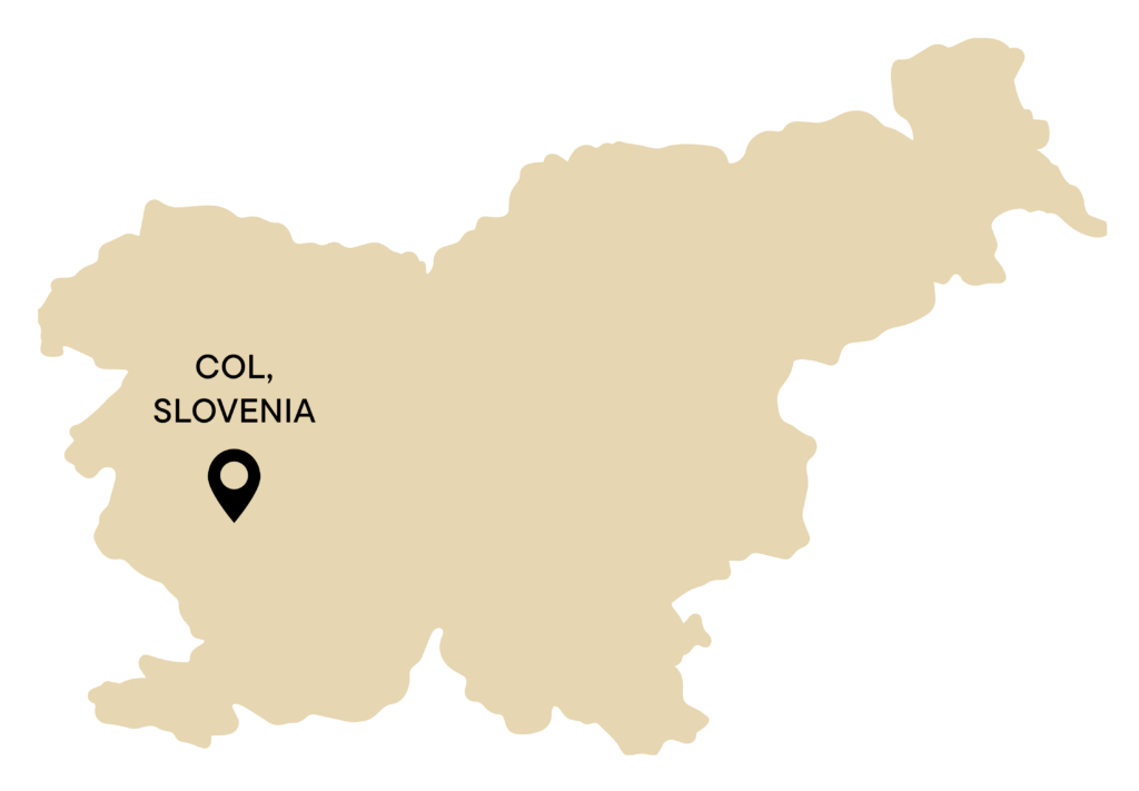 Karttagrafiikka, jossa Colin paikkakunta Slovenian kartalla.